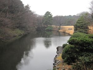 代々木公園